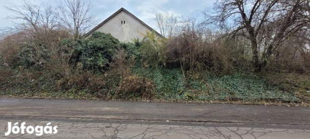 Eladó Ház, méretes Telekkel, Látókép