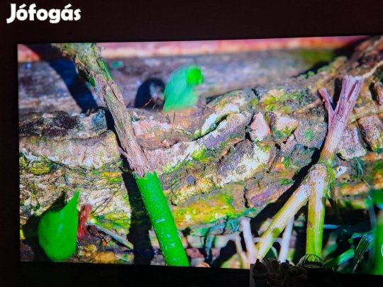 Eladó Hibátlan Hisense 65" UHD 4K 65A6N TV