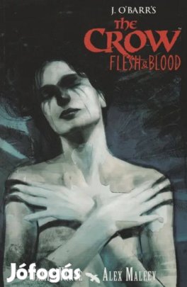 Eladó Holló képregény (angol)