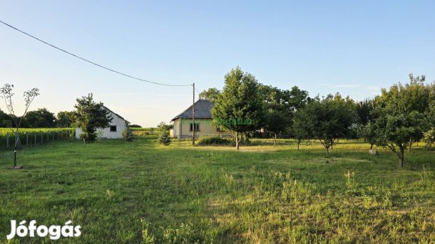 Eladó Ipari, Gávavencsellő 109.000.000 Ft