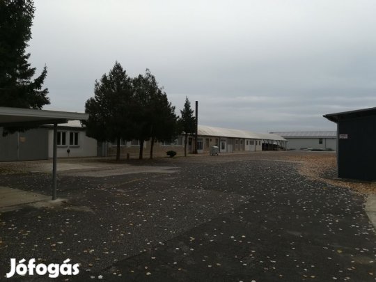 Eladó Ipari terület, Mezőkovácsháza