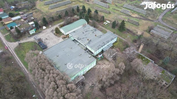 Eladó Ipari terület, Nyírtelek