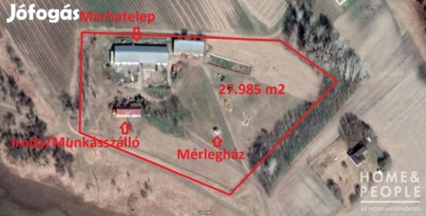 Eladó Ipari terület! - Domaszék