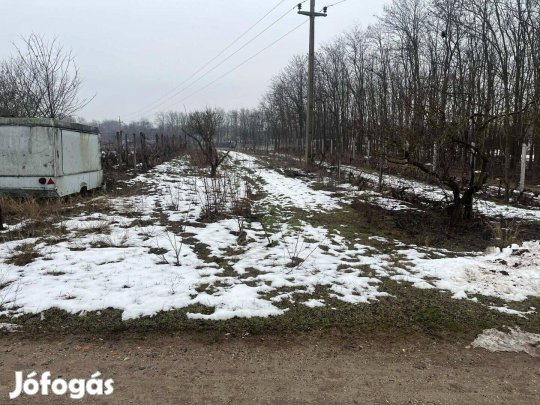 Eladó Kecskemét Vacsihegyben építési telek