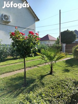 Eladó Kertes ház Ebes