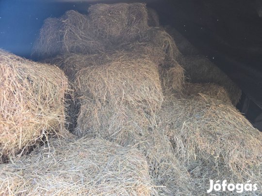 Eladó Kis kocka Lucernás széna