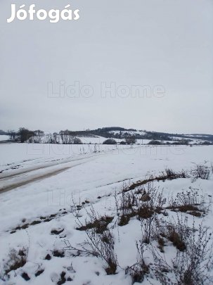 Eladó Környe külterületén kiváló adottságokkal rendelkező szántó!