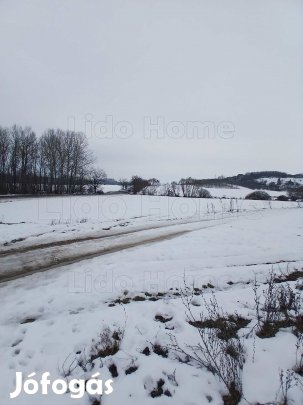 Eladó Környe külterületén kiváló adottságokkal rendelkező szántó!