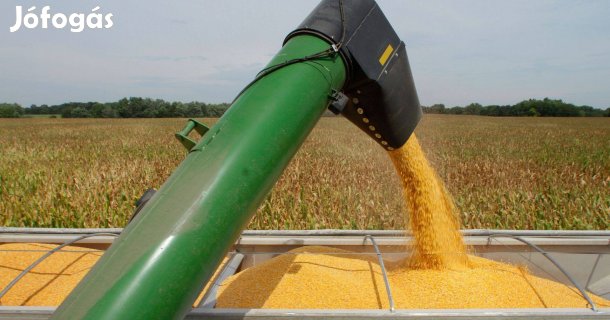 Eladó Kukorica Péteribe