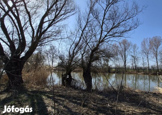 Eladó Külterületi telek Békésszentandrás