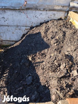 Eladó Lignit-szén
