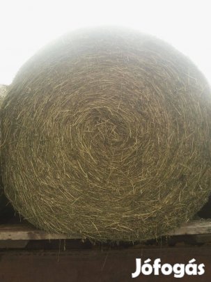 Eladó Lurcerna Bála