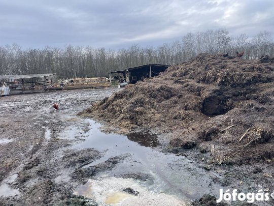 Eladó Marha trágya