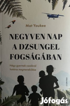 Eladó Mat Youkee: Negyven nap a dzsungel fogságában című könyv...