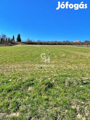 Eladó Mezőgazdasági, Balatoncsicsó 29.500.000 Ft