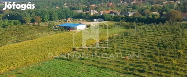 Eladó Mezőgazdasági, Csikvánd 70.000.000 Ft