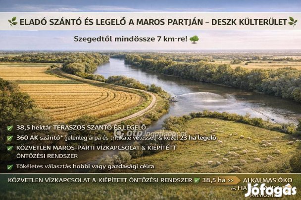 Eladó Mezőgazdasági, Deszk