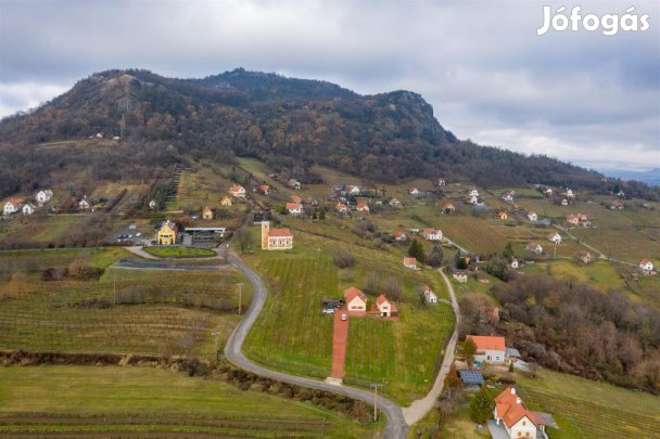 Eladó Mezőgazdasági, Hegymagas