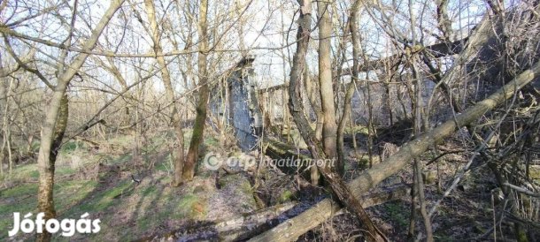 Eladó Mezőgazdasági, Jászberény