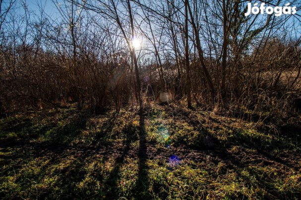 Eladó Mezőgazdasági, Kehidakustány 4.990.000 Ft