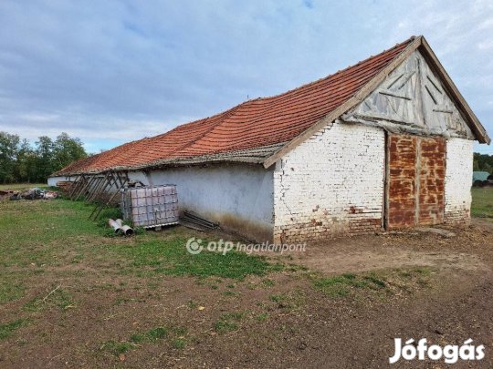 Eladó Mezőgazdasági, Kunmadaras