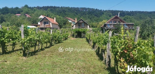 Eladó Mezőgazdasági, Magyarpolány