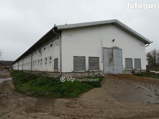 Eladó Mezőgazdasági, Mezőhegyes