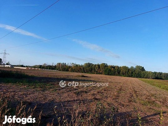 Eladó Mezőgazdasági, Ópusztaszer