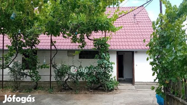 Eladó Mezőgazdasági, Röszke