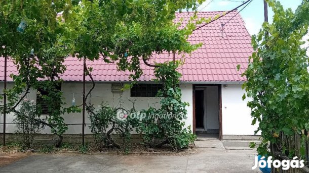 Eladó Mezőgazdasági, Röszke