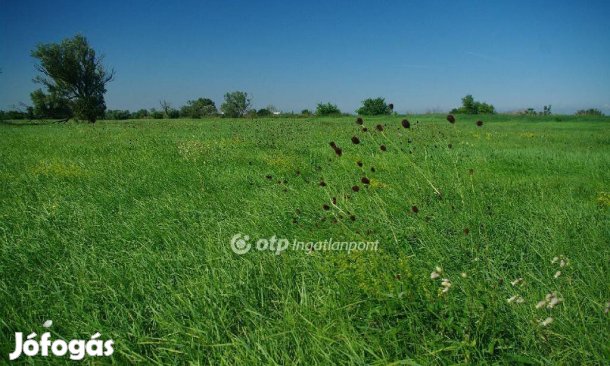 Eladó Mezőgazdasági, Székesfehérvár