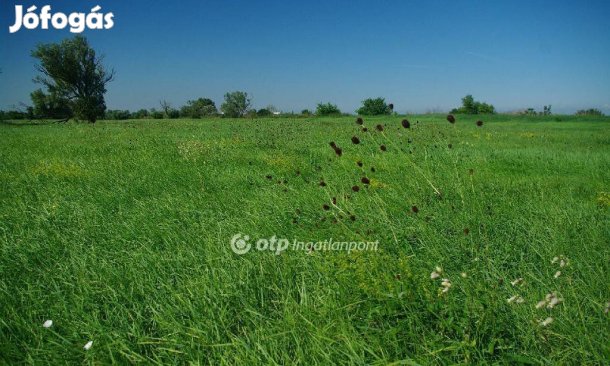 Eladó Mezőgazdasági, Székesfehérvár