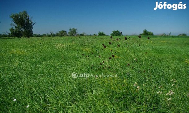 Eladó Mezőgazdasági, Székesfehérvár