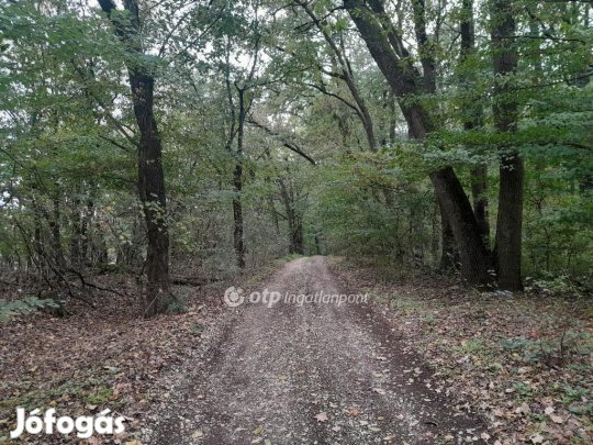 Eladó Mezőgazdasági, Tarján