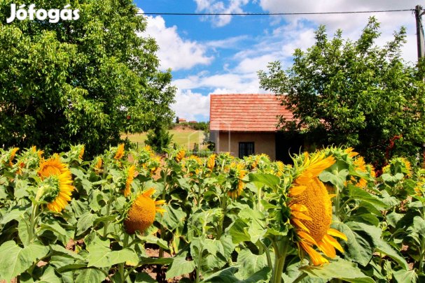 Eladó Nyaraló, Kápolnásnyék 35.000.000 Ft