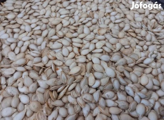 Eladó Orange sütőtök