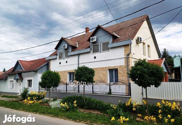 Eladó Panzió, Abádszalók