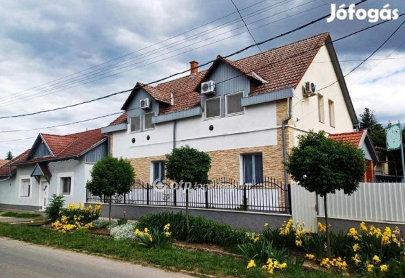 Eladó Panzió, Abádszalók