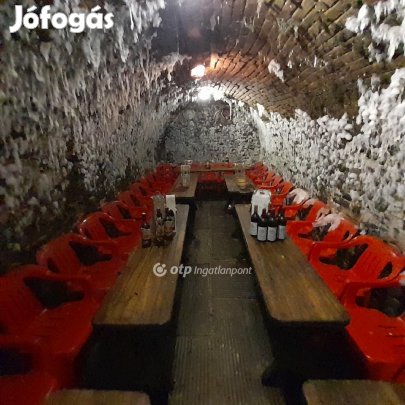 Eladó Pub, Szekszárd