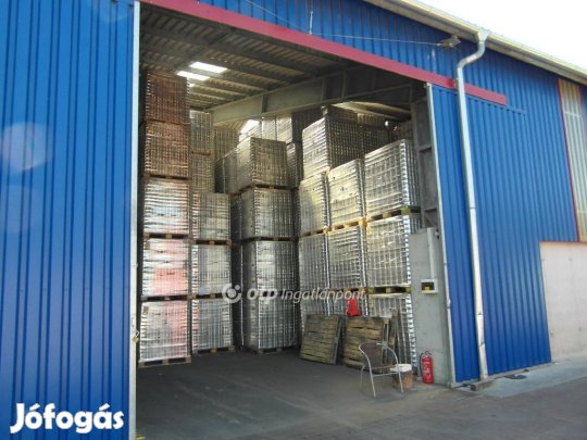 Eladó Raktárcsarnok, Békéscsaba
