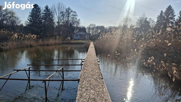 Eladó Szajolban közvetlen vízparti téliesített könnyűszerkezetes ház