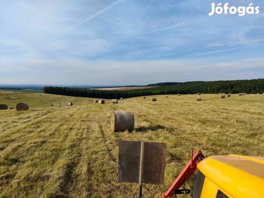 Eladó Szántó, Iregszemcsén