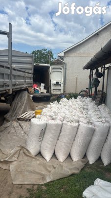 Eladó Szemes kukorica ! 