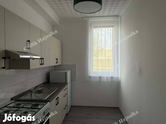 Eladó Szolnok Tallinn városrészben 31 m2-es, felújított lakás