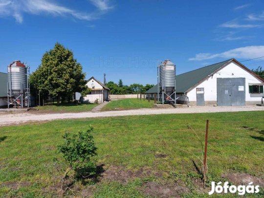 Eladó TANYA/TELEP GÁRDONY-DINNYÉSEN!