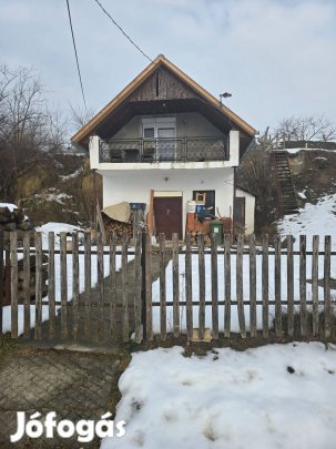 Eladó Tanya szőlővel