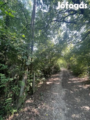 Eladó Telek, Miskolc 1.250.000 Ft