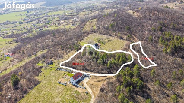 Eladó Telek, Pécsely 9.900.000 Ft