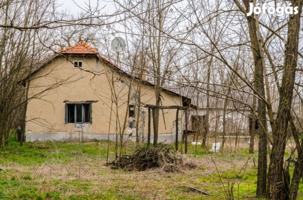 Eladó Telek, Szank 240.000.000 Ft