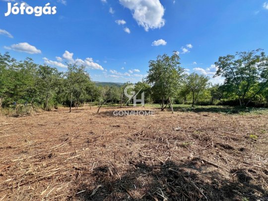 Eladó Telek, Veszprém 8.500.000 Ft